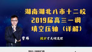 湖南湖北八市十二校2019届高三一调填空压轴（详解）