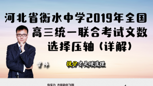 河北省衡水中学2019年全国高三统一联合考试文数选择压轴（详解）