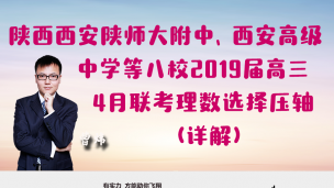 陕西西安陕师大附中、西安高级中学等八校2019届高三4月联考理数选择压轴（详解）