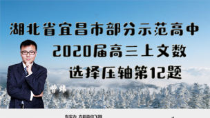 湖北省宜昌市部分示范高中2020届高三上文数选择压轴第12题