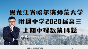 黑龙江省哈尔滨师范大学附属中学2020届高三上期中理数第14题