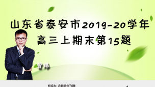 山东省泰安市2019-2020学年高三上期末第15题