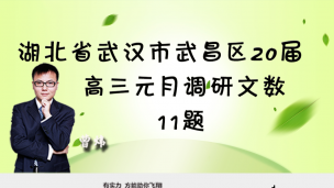 湖北省武汉市武昌区2020届高三元月调研文数11题