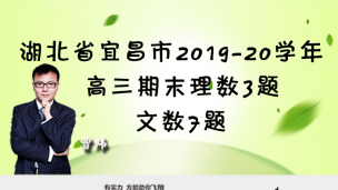 湖北省宜昌市2019-2020学年高三期末理数3题文数7题