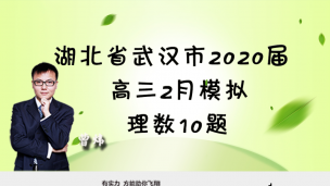 湖北省武汉市2020届高三2月模拟理数10题