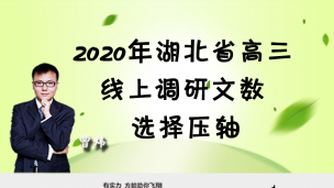 2020年湖北省高三线上调研文数选择压轴